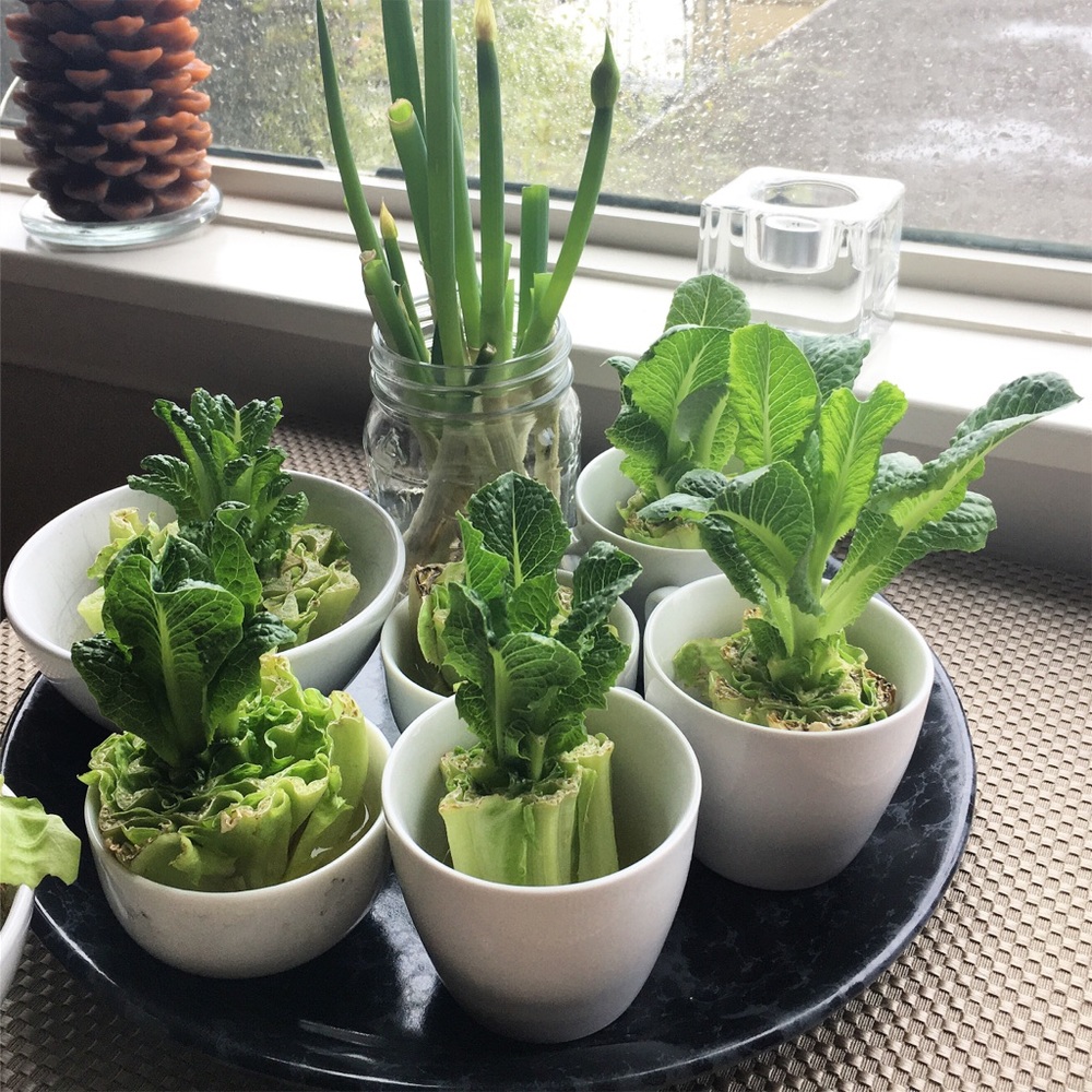 Meet your Posher, Mao